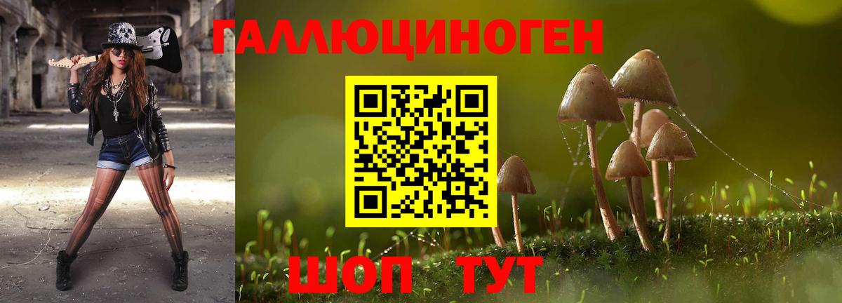 Галлюциногенные грибы Psilocybine cubensis  Вход с VPN  даркнет сайт  Галлюциногенные грибы ЛСД  Нарткала 